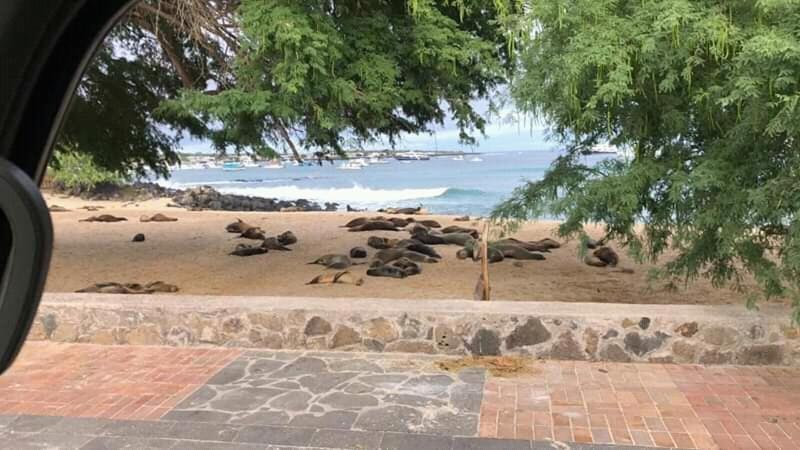 Hostal Albatros San Cristobal Exterior photo